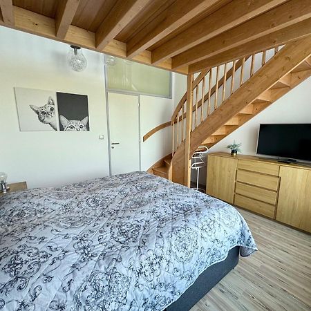 Miky Apartman Klinovec Garden Loučná pod Klínovcem Buitenkant foto
